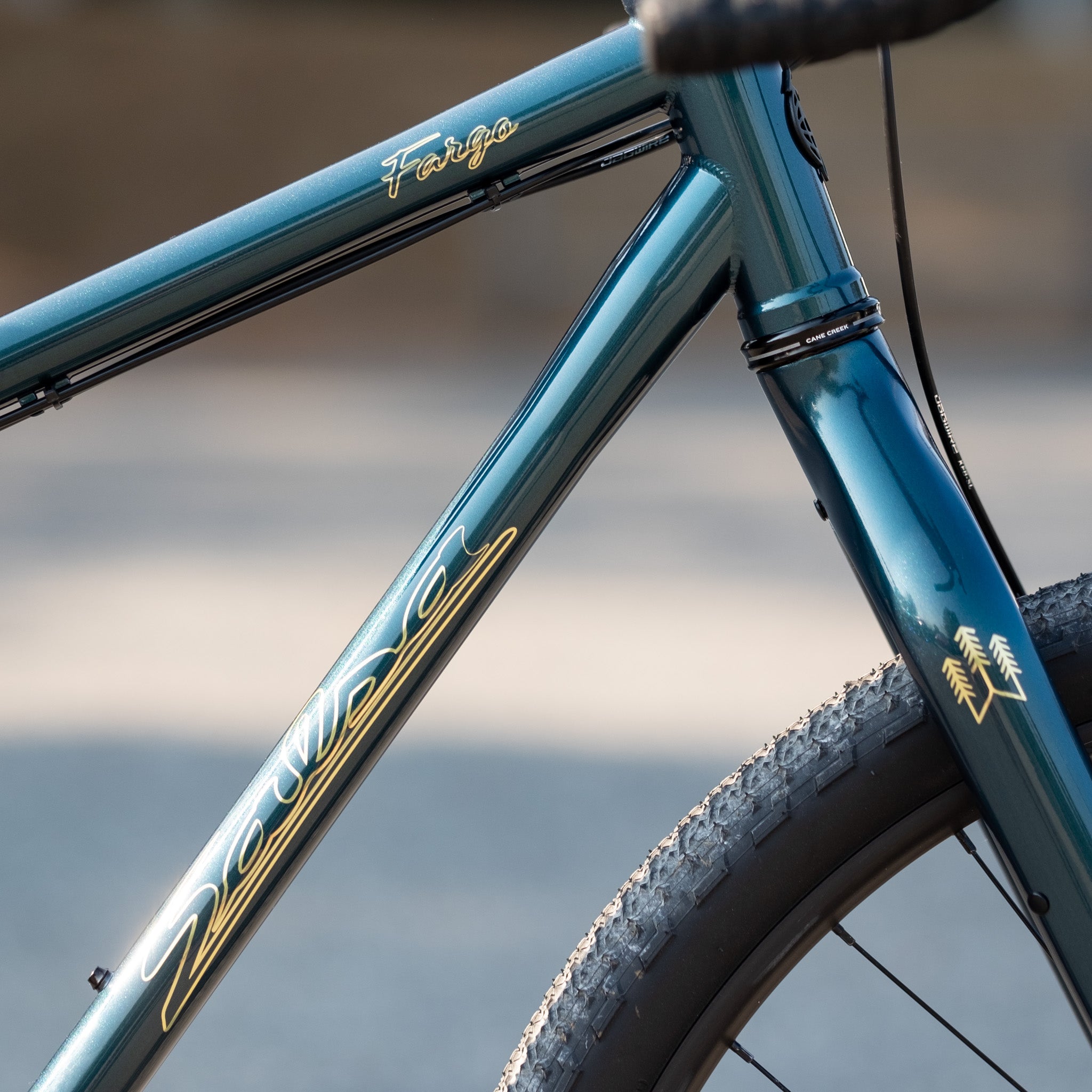 Salsa Fargo Apex 1 - Green